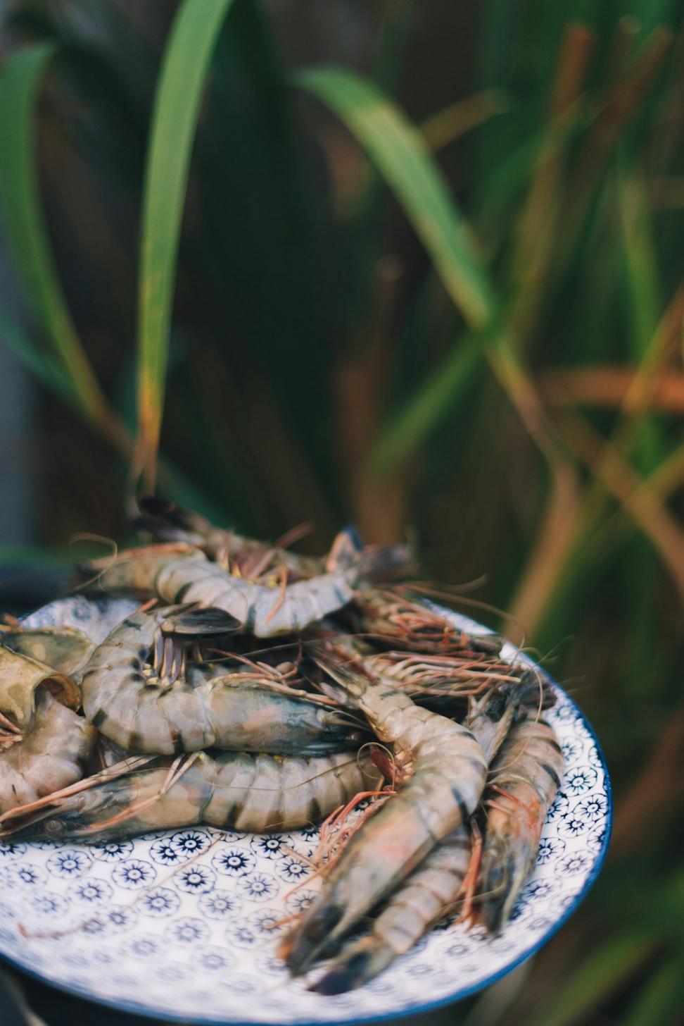 Seafood Dish